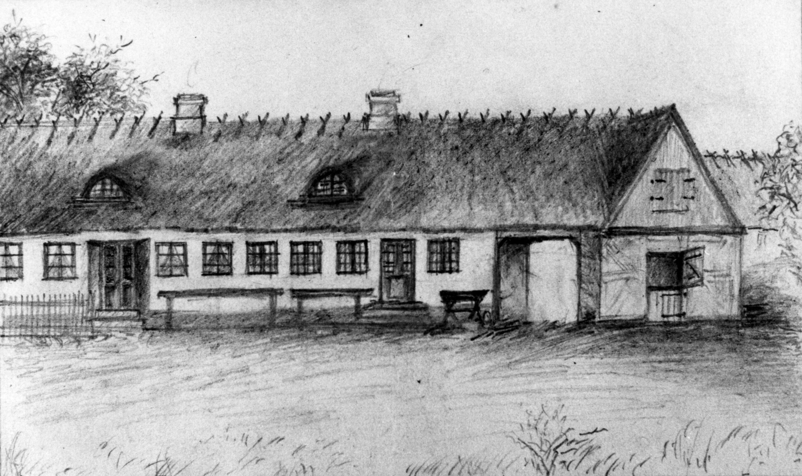 Kirsten Pedersdatters slægt.